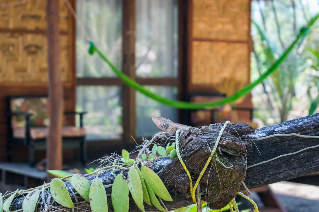 Guest house Horizon Eco